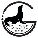 G Udine a.s.d.